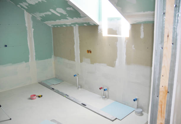 Trusted Makawao, HI Mold Removal Experts