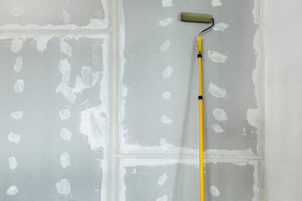 Asbestos and Lead Testing During Mold Inspection in Makawao, HI