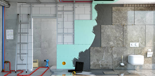 Best Black Mold Removal  in Makawao, HI