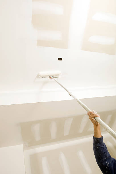 Best Environmental Consulting for Mold Prevention  in Makawao, HI