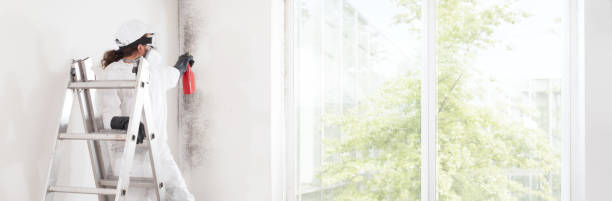Best Residential Mold Inspection & Testing  in Makawao, HI